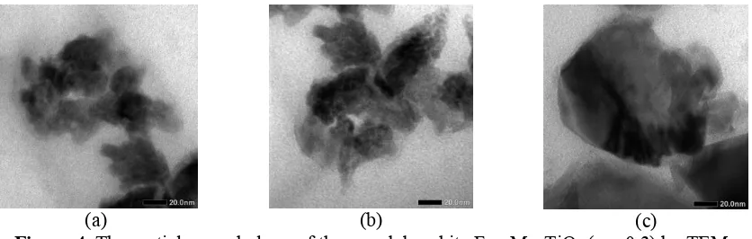 Figure 4. The particle morphology of the pseudobrookite Fe2-xMnxTiO5 (x = 0.3) by TEM 