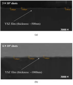 Figure 3 show SEM micrographs of samples surface with EDS area analyses to investigate the 