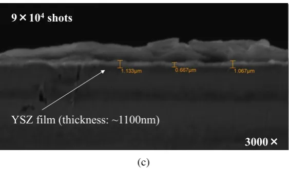 Figure 2. SEM micrographs of samples cross section to investigate the film deposition on the steel with various shots (a) 3x104 shots (b) 6x104 shots and (c)  9x104 shots 