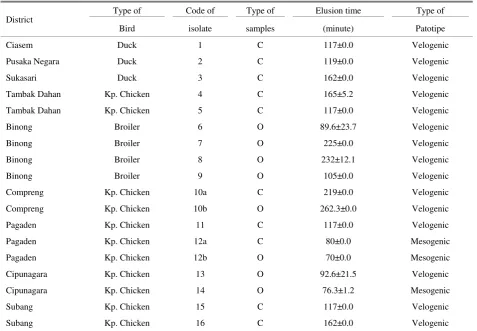 Table 6. The result of elusion time test of NDV isolates that obtained from chicken and duck in 10 areas in Subang area 