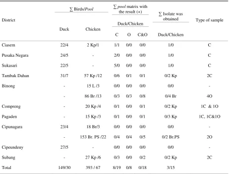 Table 2. The number of birds and pool sample from 10 subdistricts in Subang with rRT-PCR M test results and number of NDV isolates with antibody titre from individual of NDV detected 