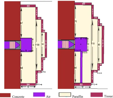 Figure 3. Top and Side View of Design 1 
