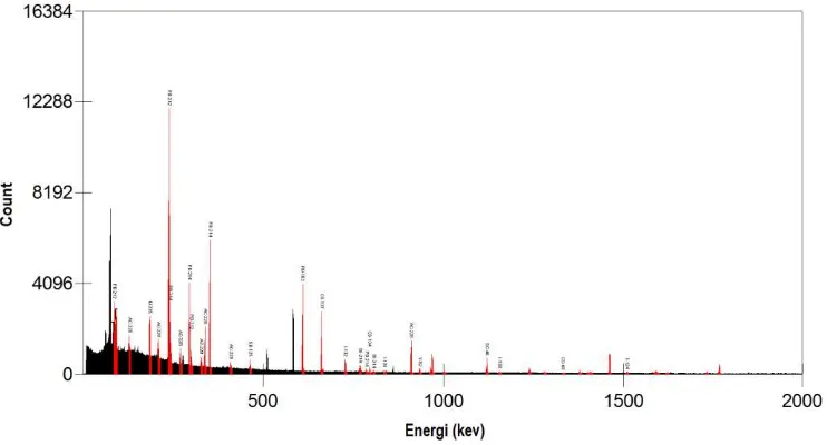 Gambar 4. Spektrum hasil pengukuran radionuklida  