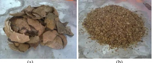 Gambar 3. Biomassa (a)tempurung kelapa (b)cangkang kopi 