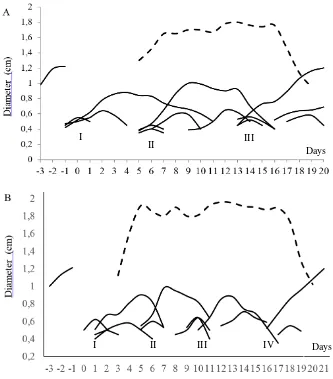 Figure 1. Growth pattern of follicular wave and CL in PO cattle with 3-follicular wave (A) and 4-follicular wave (B)