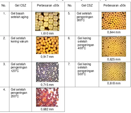 Tabel 5. Gel CSZ hasil pengamatan dengan mikroskop digital 