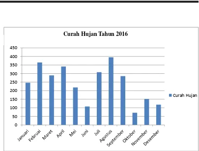 Gambar 2. Curah Hujan Tahun 2016 Stasiun Meteorologi KNS BATAN 