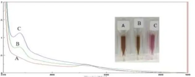 Figure 3: Overlay of gold nanoparticles (AuNP) encapsulation in polyamide amine generation 3.0 (AuNP-PAMAM  G3) UV-Vis spectrum at (A) pH 2, (B) 7 and (C) 9  