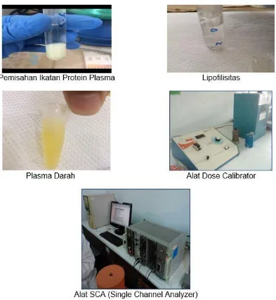 Gambar 9. Kegiatan Penelitian Pengembangan Senyawa Anti Kanker dari Bahan Alam  Indonesia Bertanda Radioaktif