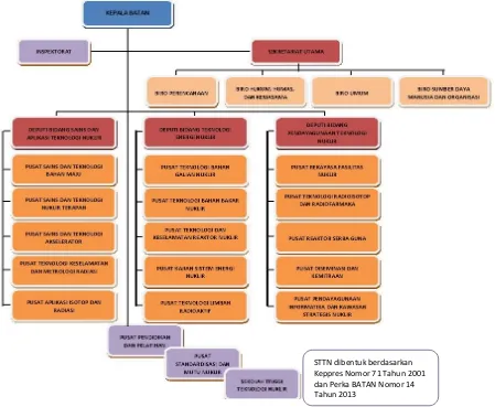 Gambar 1.1 Struktur Organisasi BATAN 