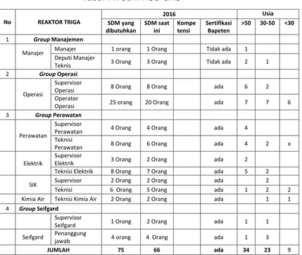 Tabel 11. SDM RSG-GAS 