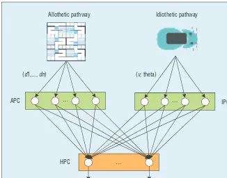 Figure 3. Computational model for the hippocampus subsystem in the MPMS.