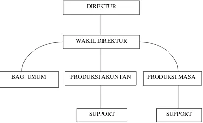 Gambar 3.1 Struktur Organisasi Konsultan Pajak CV. Pakar Penata Usaha 