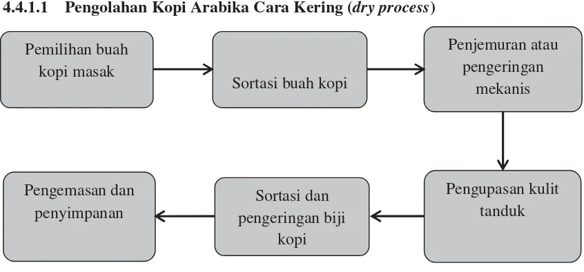 Gambar 3 : Proses pengolahan kopi Arabika cara kering (dry process)