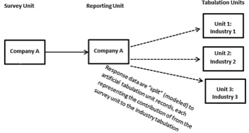 Figure 2. Illustration of Single Reporting Unit with Multiple Tabulation Units. The tabulation units are “artificial” entities created for tabulation.