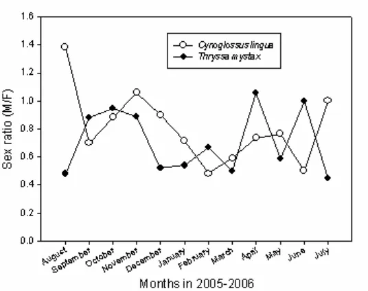 Figure 2.Changes in sex ratio of C. lingua and T. mystax in Ujung Pangkah Estuary, East Java.