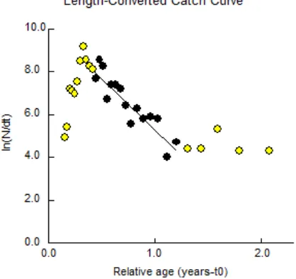 Figure 5.Length-converted catch curve of bananashrimp in Tarakan waters, 2012.