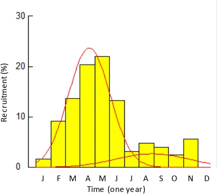 Figure 6.Recruitment pattern of banana shrimp inthe Tarakan waters, 2012.