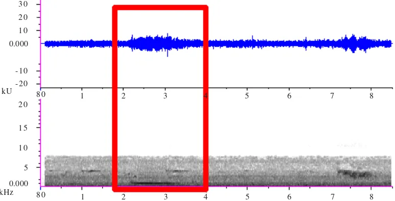 Figure 5. Sound analysis of  “kokoko” call by wavegram and spectrogram.