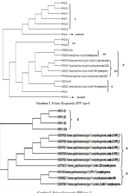 Gambar 2. Pohon filogenetik HPV tipe 11