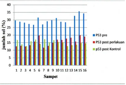 Gambar 1. Perbandingan hasil pemeriksaan ekspresi p53 (wild type) pada kelompok kontrol.
