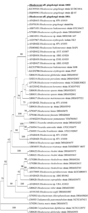 Figure 1. The phylogenetic tree from the Maximum Likelihood analyses of 16S rRNA sequence of Rhodococcus aff