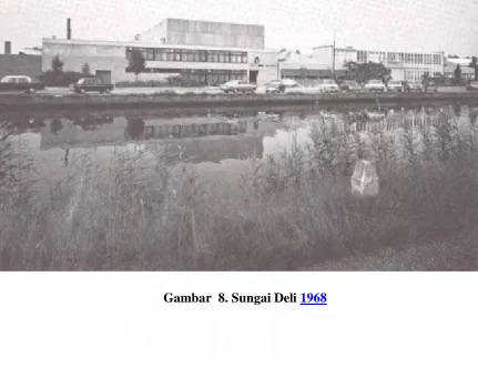 Gambar  8. Sungai Deli 1968 