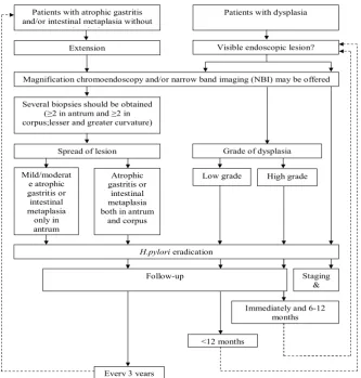 Figure 1. Algorithm (flowchart) for the management of precancerous lesions of the gaster[cited from 2]