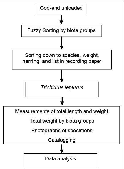 Figure 3.General procedure of data collection activity and their analysis.