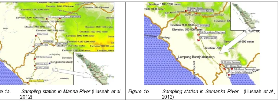Figure 1b.       Sampling station in Semanka River    (Husnah et al., 