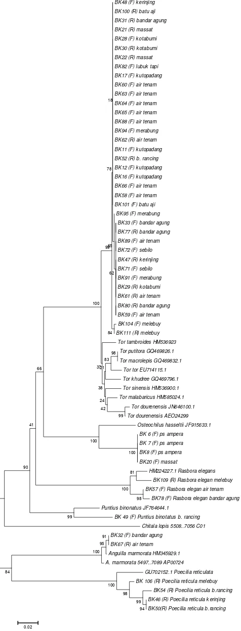 Figure 2.Neighbor-joining tree analysis of the COI sequences (K2P) for 14 freshwater fish species from theManna and Semanka River from 20,000 iterations are shown.