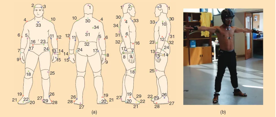 Figure 2. (a) The position of the markers in the human body and (b) the calibration position.