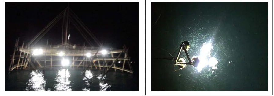 Figure 1.Gambar 1. Penggunaan lampu listrik pada bagan tancap di Selat Makassar (A); kondisi   ikan di bawah lampu (B)The use of electric lamp for fixed lifnet  in Makassar Strait (A); Fish schooling under the electric lamp