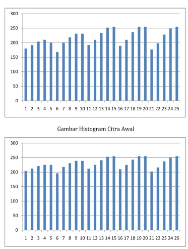 Gambar Histogram Citra Awal