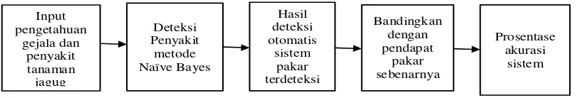 Gambar 1. Blok diagram uji coba sistem pakar 