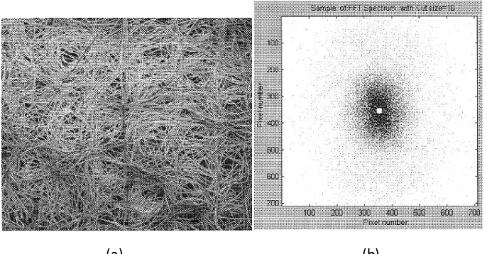 Gambar-4 Citra digital hasil tangkapan mirkoskop SEM (a) dan hasil analisis citra menggunakan analisis FT 