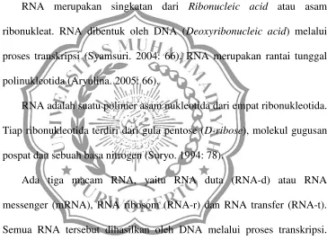 Gambar 9. Graf yang memiliki lintasan Euler dan Sirkuit Euler 