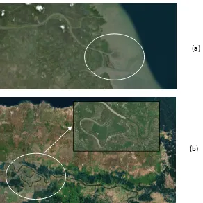 Gambar 2. 3  Delta Estuari (a) dan Oxbow Lake(b) Dataran Pantai Utara Jawa Timur 