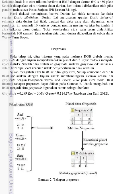 Gambar 2  Tahapan praproses 