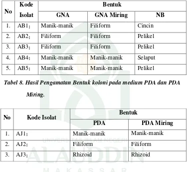 Tabel 8. Hasil Pengamatan Bentuk koloni pada medium PDA dan PDA  