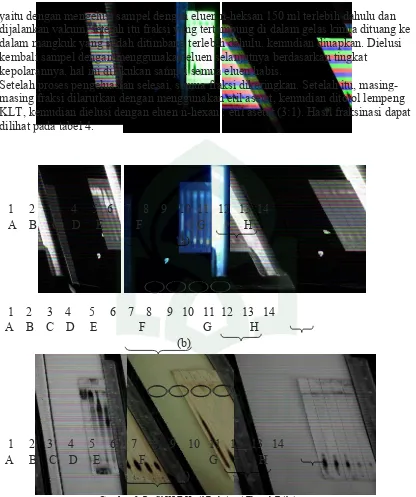 Gambar 3. Profil KLT Hasil Fraksinasi Ekstrak Etil Asetat