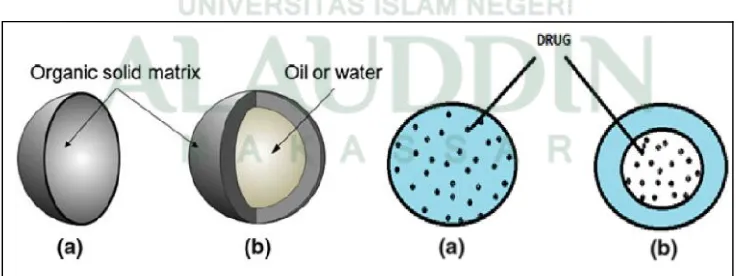 Gambar 1. Nanopartikel (a) Nanosfer, (b) Nanokapsul (Allouche, 2013: 28), (Yadav et al, 2012, 5: 16)
