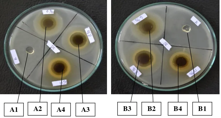 Gambar 8. Foto hasil uji daya hambat gel ekstrak daun kemangi (Ocimum sanctum L) terhadap bakteri Staphylococcus epidermidis 