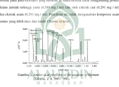 Gambar 3. Amino acid profiling of the aqueous of Haruan  
