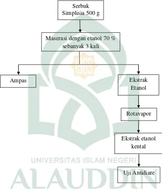 Gambar 2.  Skema Kerja Ekstraksi Daun Kacang Gude 