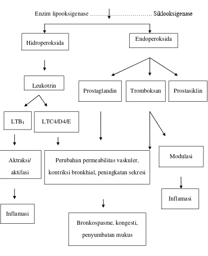 Gambar 1 : Mekanisme Terjadinya Inflamasi 