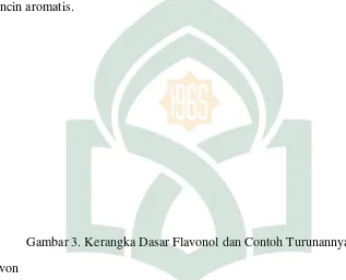 Gambar 3. Kerangka Dasar Flavonol dan Contoh Turunannya 