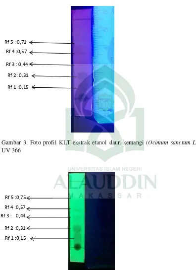 Gambar 3. Foto profil KLT ekstrak etanol daun kemangi (Ocimum sanctum L) 