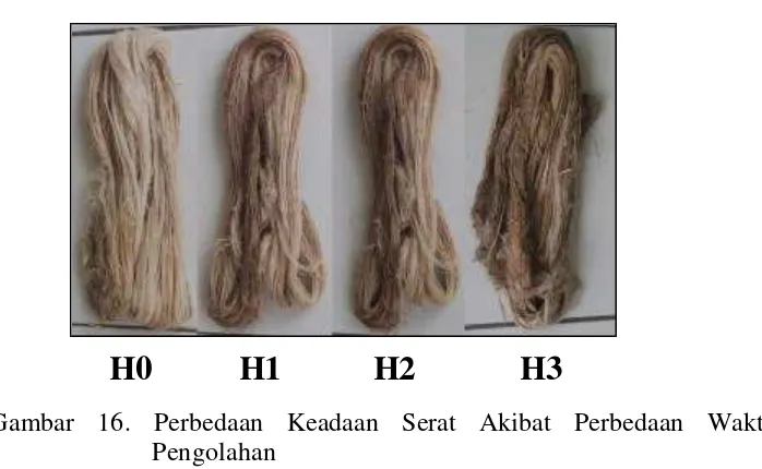 Tabel 14. Rendemen Serat pada  Beberapa Tenggang Waktu Pengolahan 