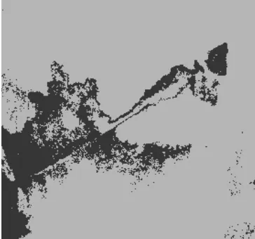 Figure 13:  Reshaping image after clustered by common K-Means  